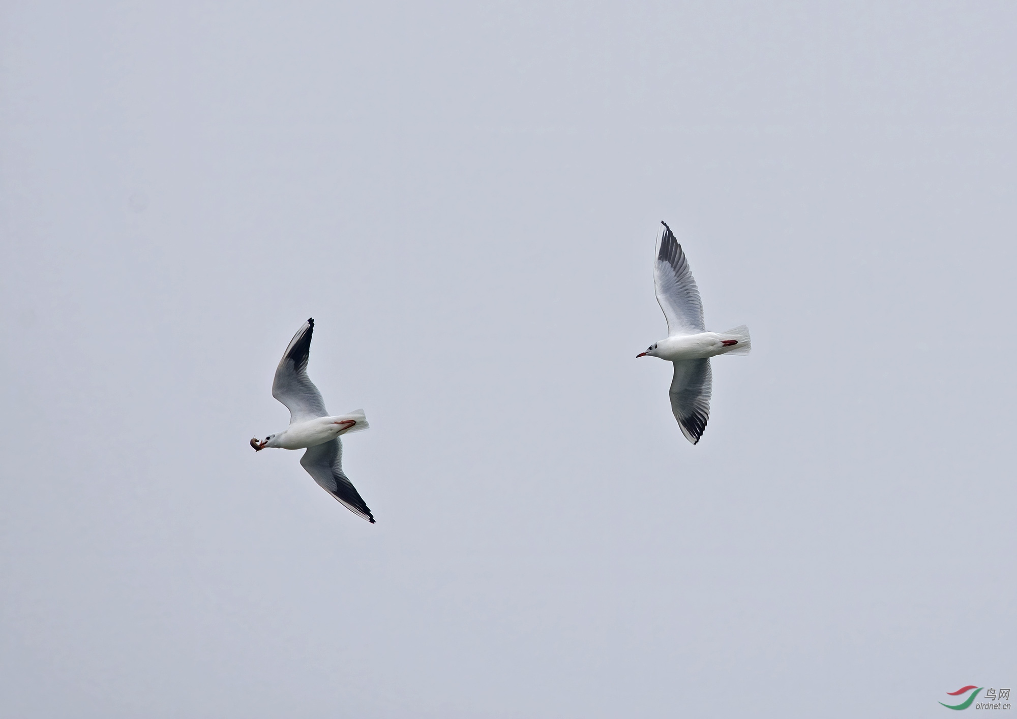 DSC_2264.jpg