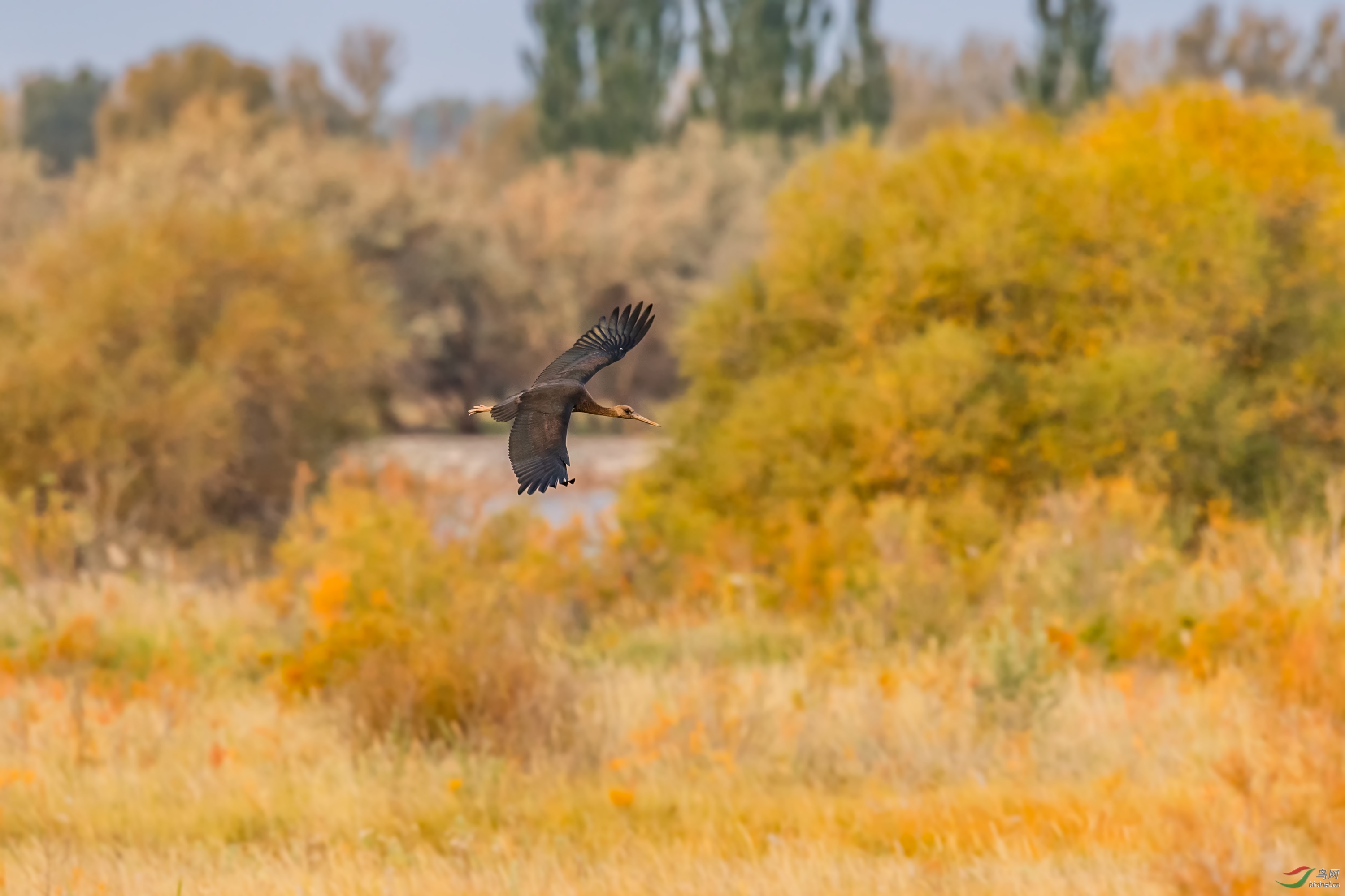 _DSC5893_��ͼ��.jpg