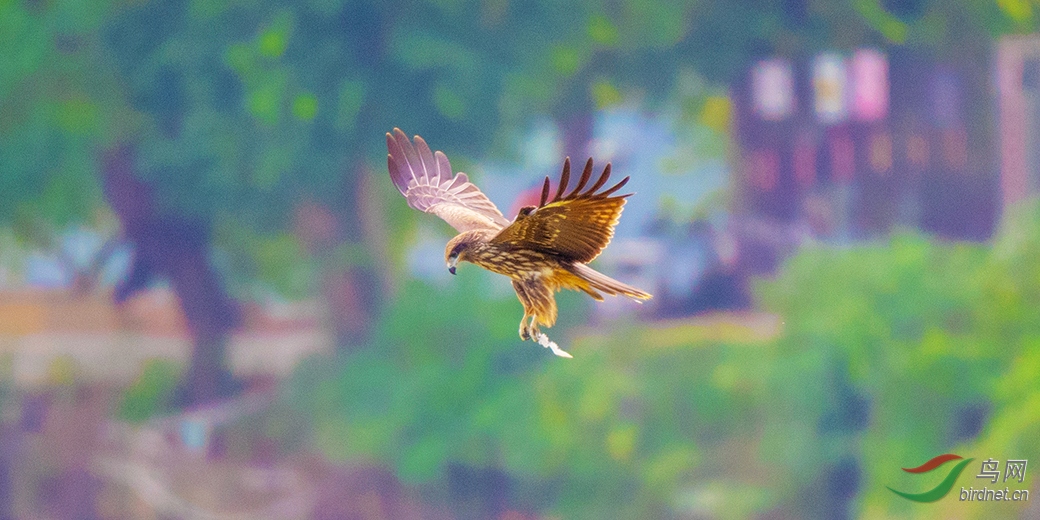 ��DSC_7413.jpg