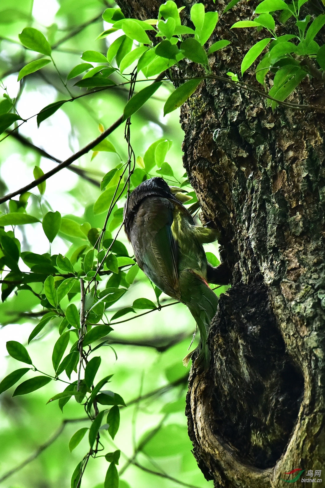 DSC_0104.JPG