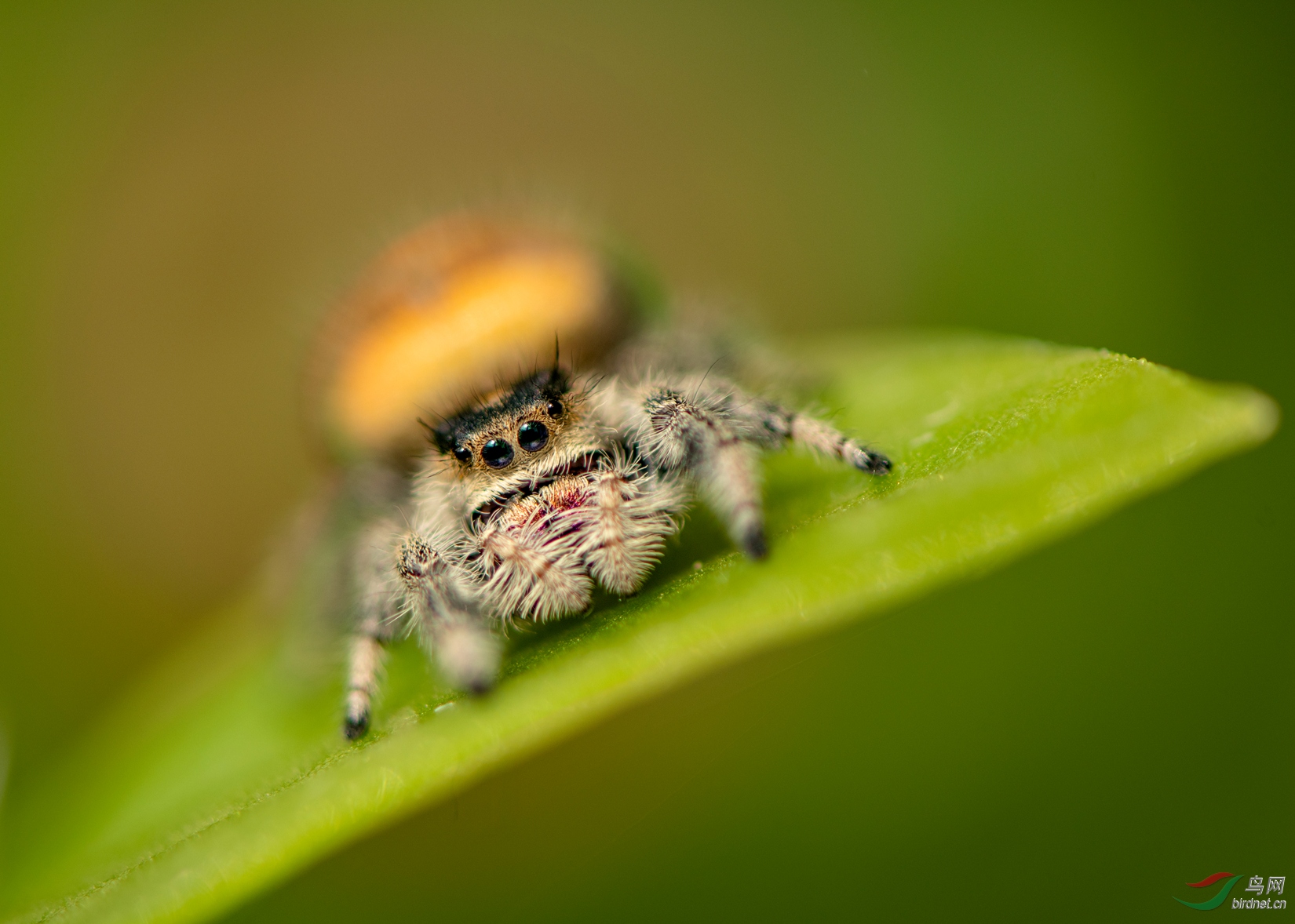 DSC_0656_����.jpg
