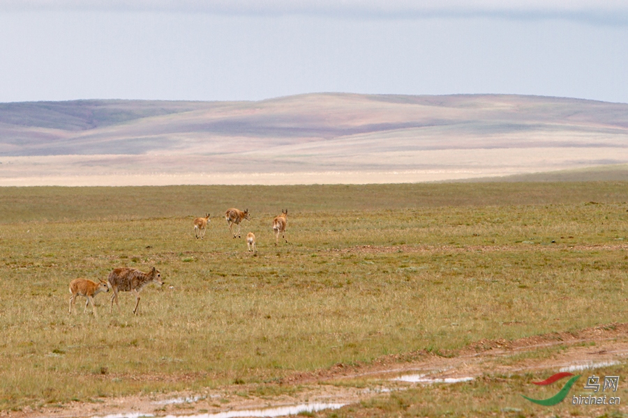 ������11