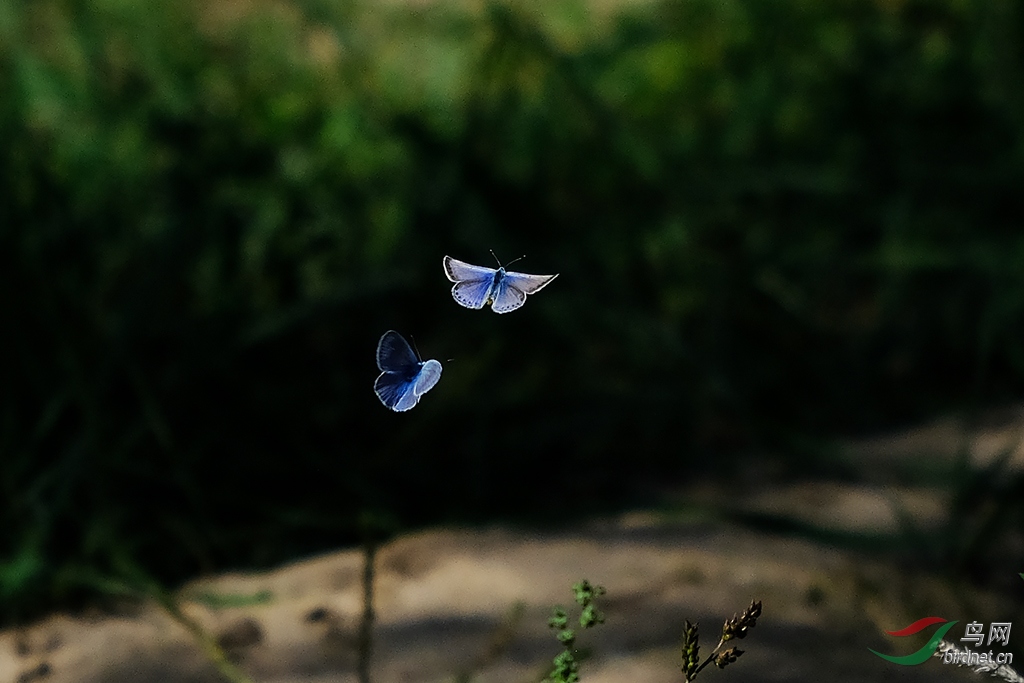 DSCF8223.JPG