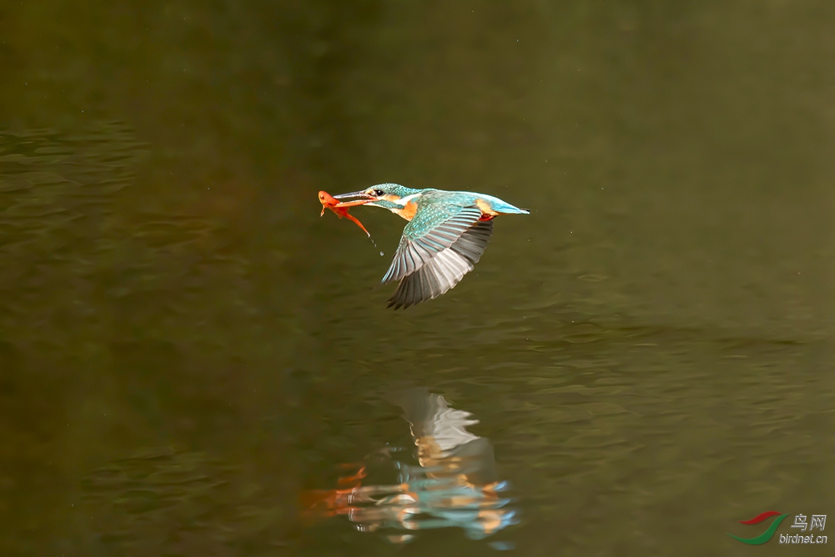 DSC_p8200.jpg