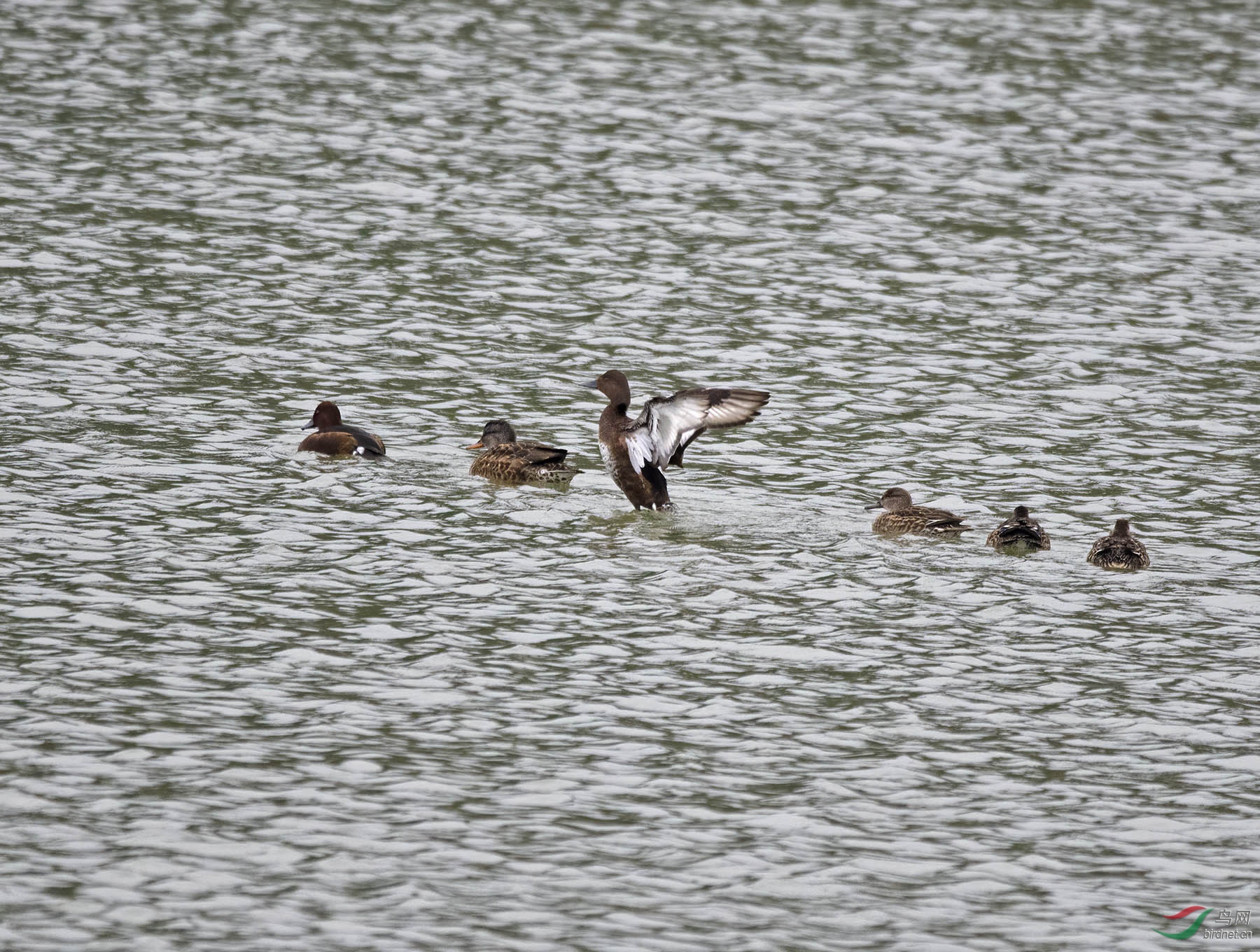 DSC_1615.jpg