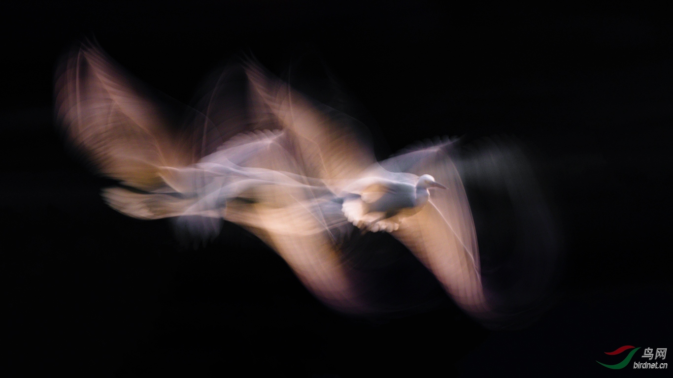 ������Ǩ