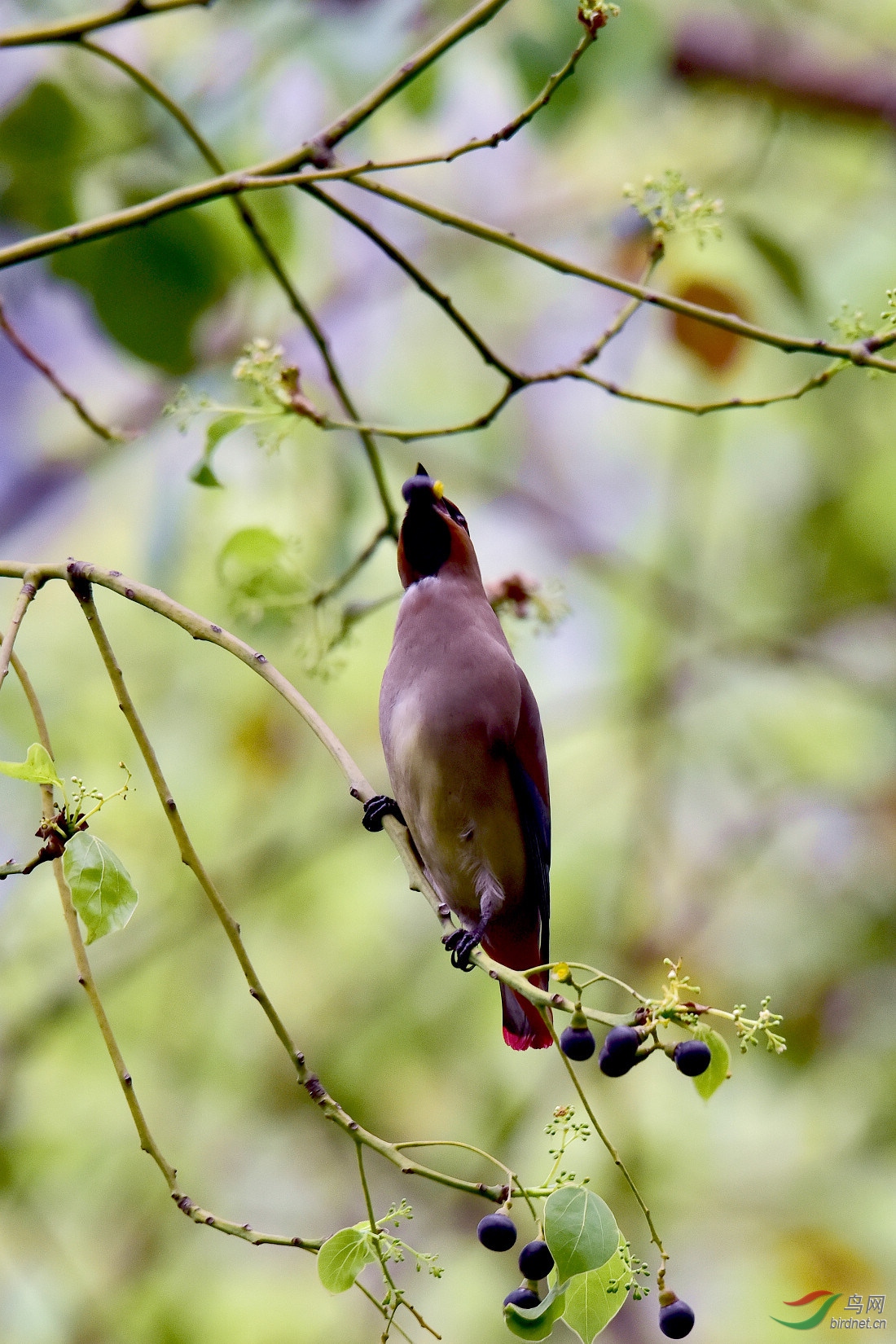 DSC_1004.JPG