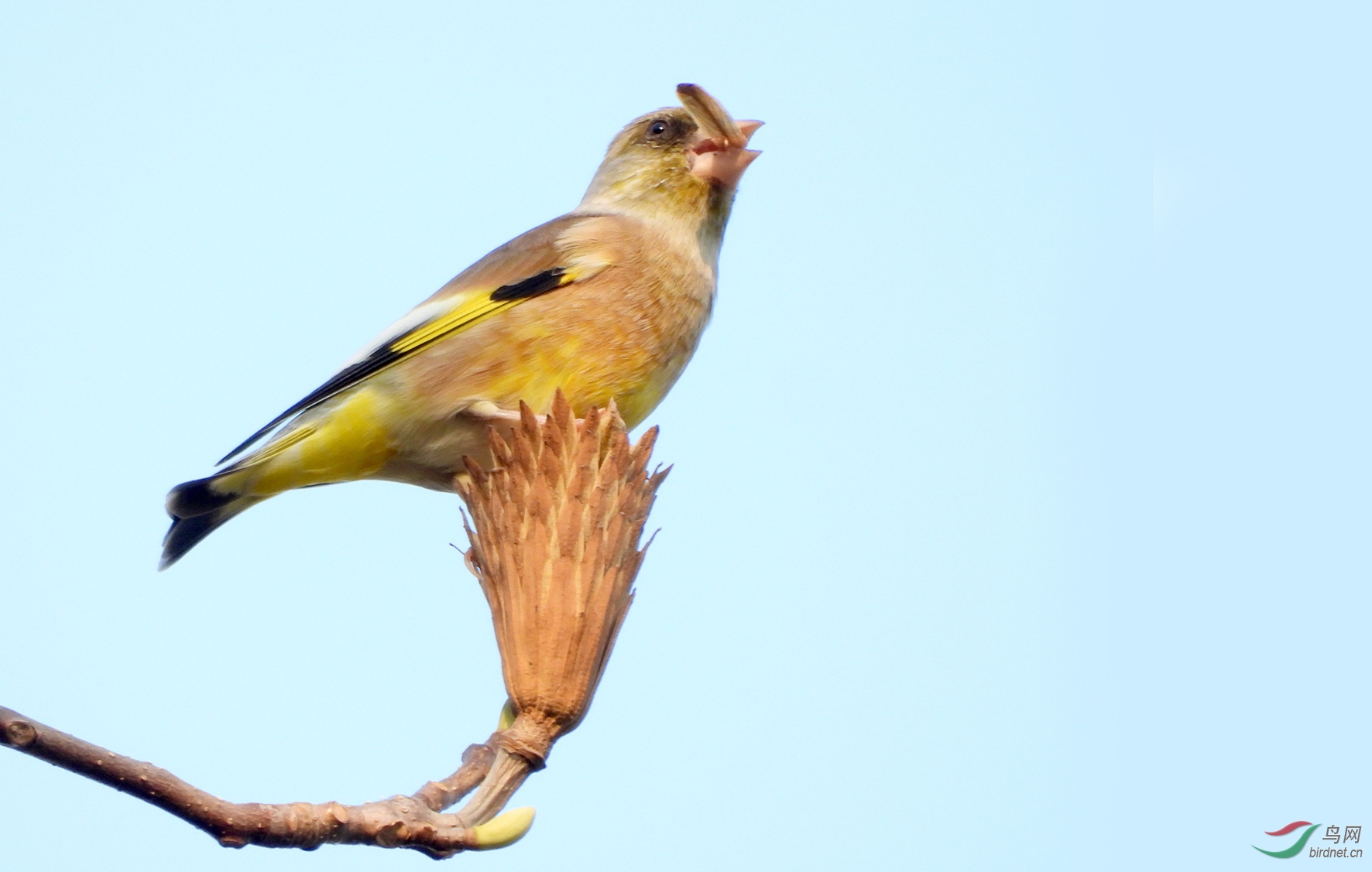 DSCN2256 ����.jpg