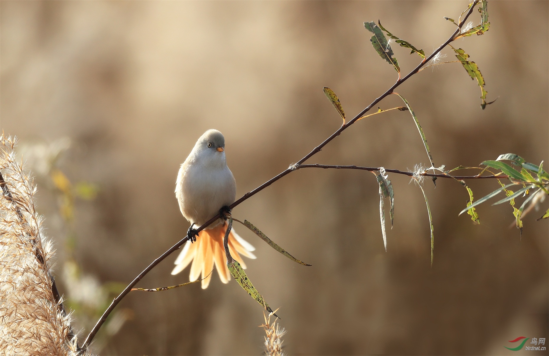 4 - ����.JPG