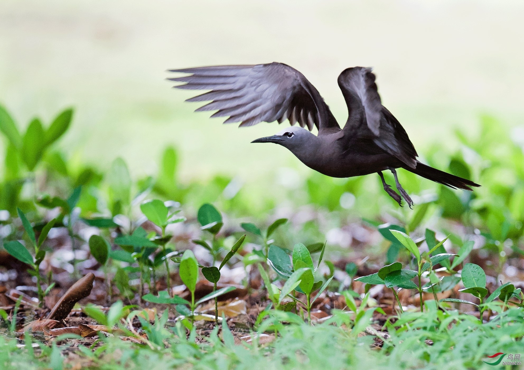 ��Ӱ���� ��ʦ����.jpg