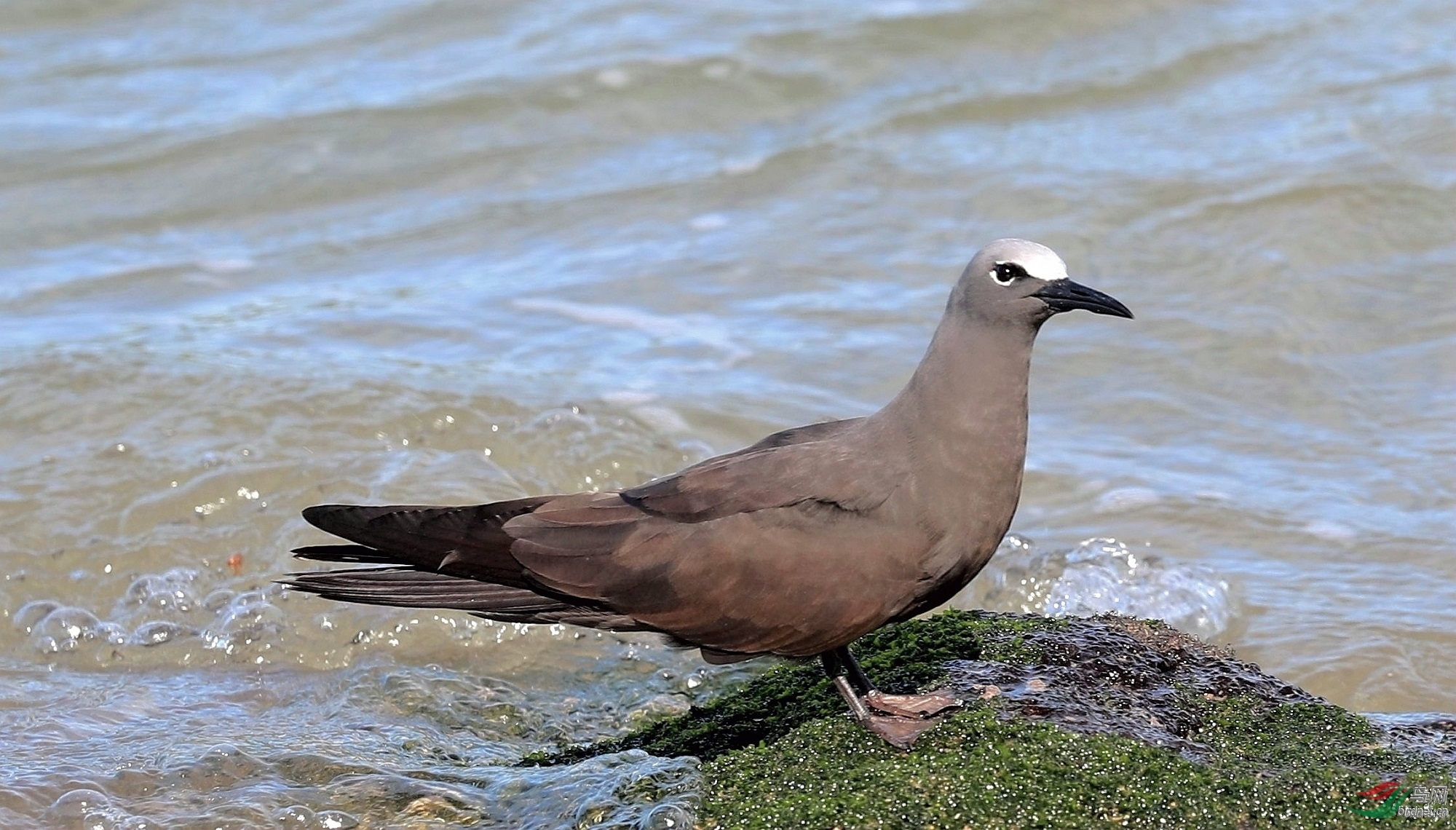 �л����� ��ʦ�����ڰ���500.jpg