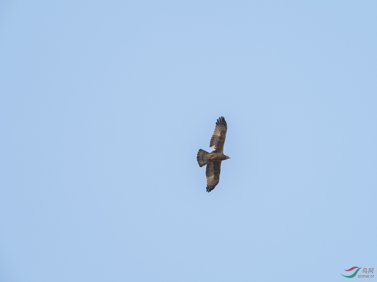 PB071383.jpg