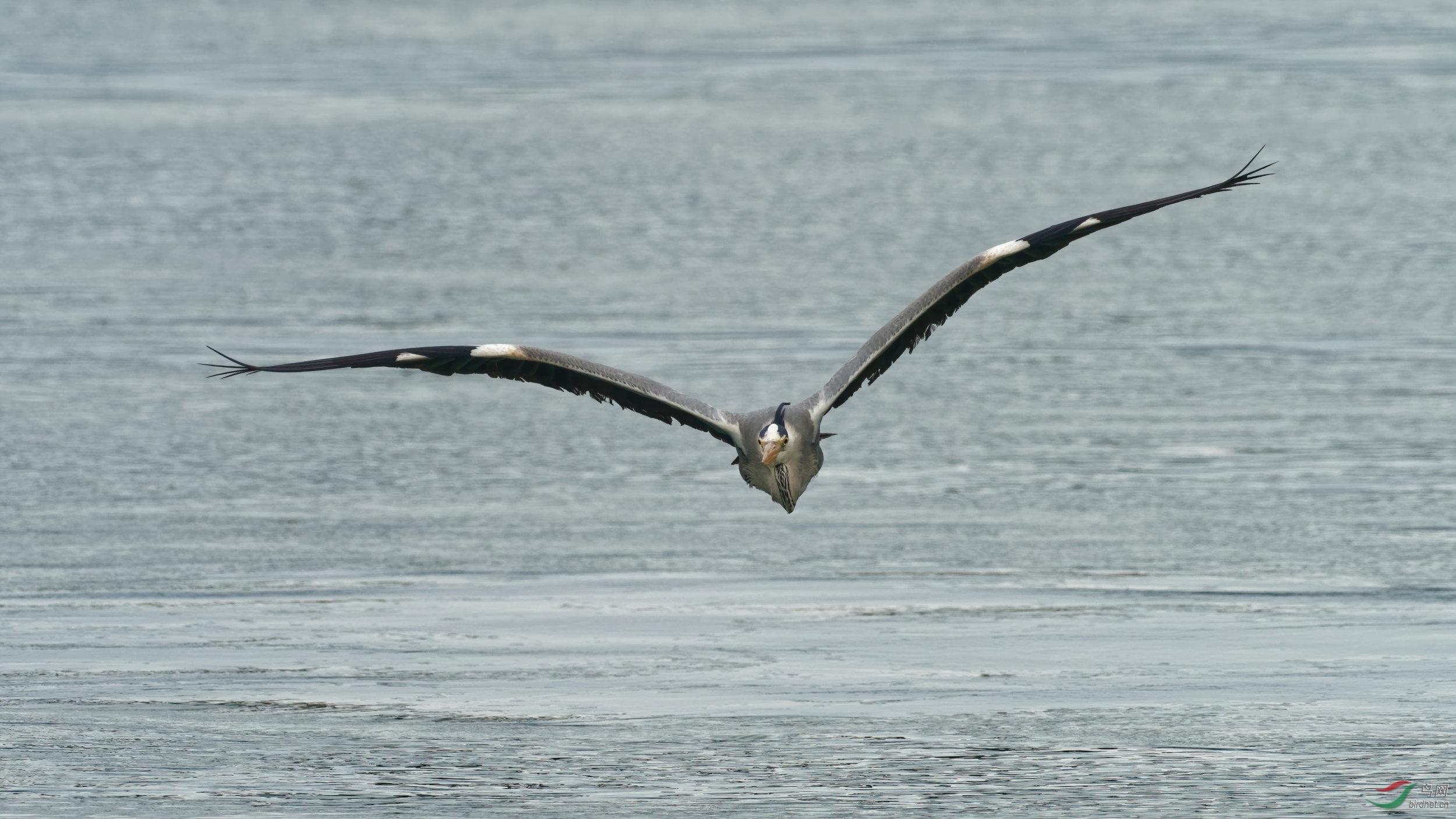 P4181100_DxO-d1.jpg