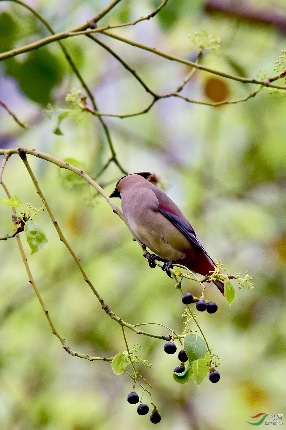 DSC_1028.JPG