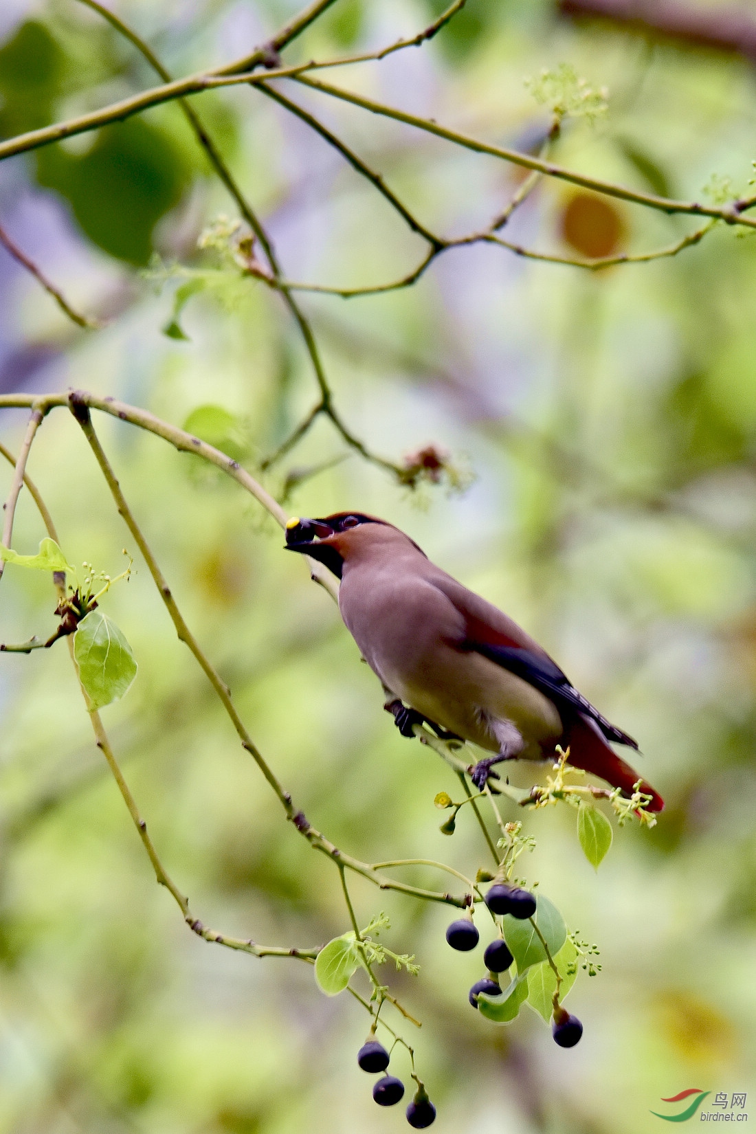 DSC_1030.JPG