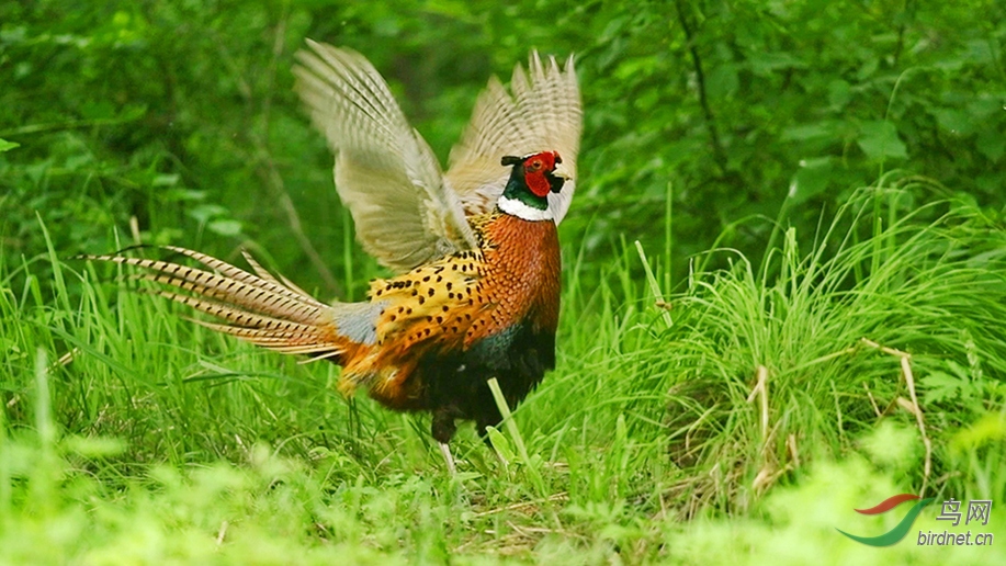 DSC_7567 00_02_02-00_02_16_Moment-04-6-3.jpg