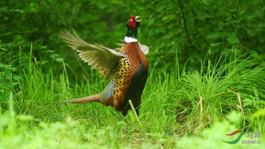 DSC_7567 00_02_02-00_02_16_Moment-01-5-3.jpg