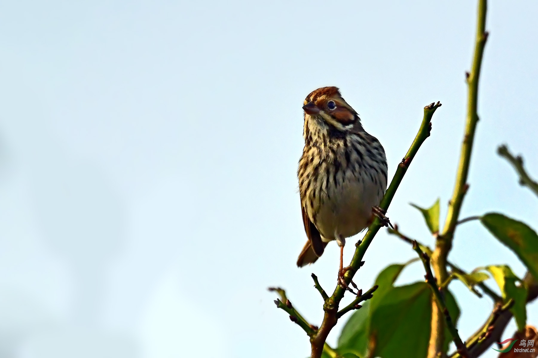DSC_6769.jpg