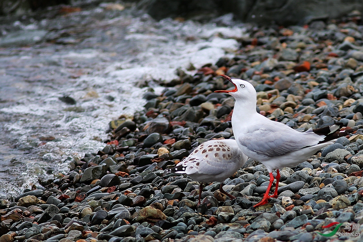 ������ ��ʦ����������д����.jpg