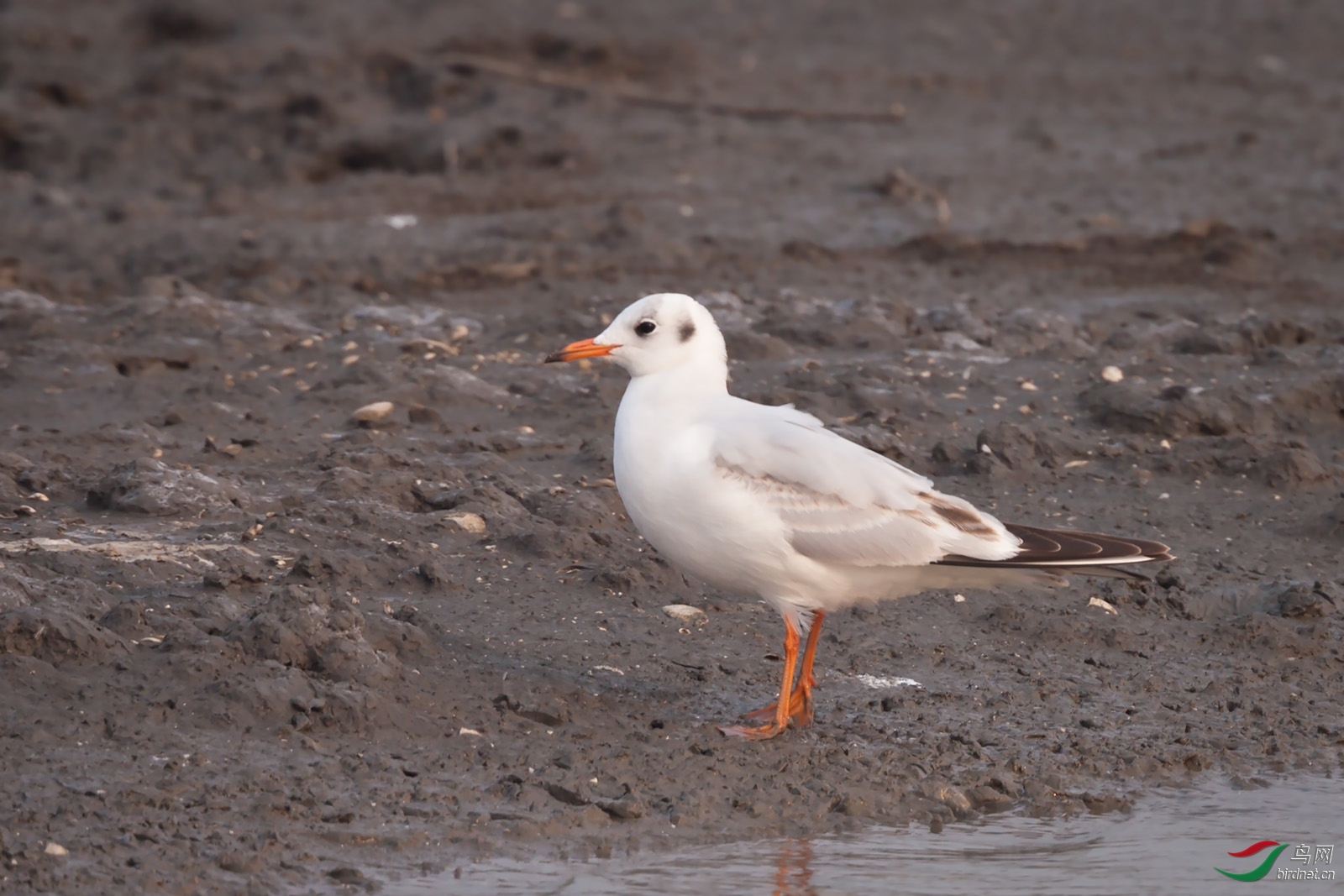 ϲ�� ��ʦ�����ڸ���ʡ ������.jpg