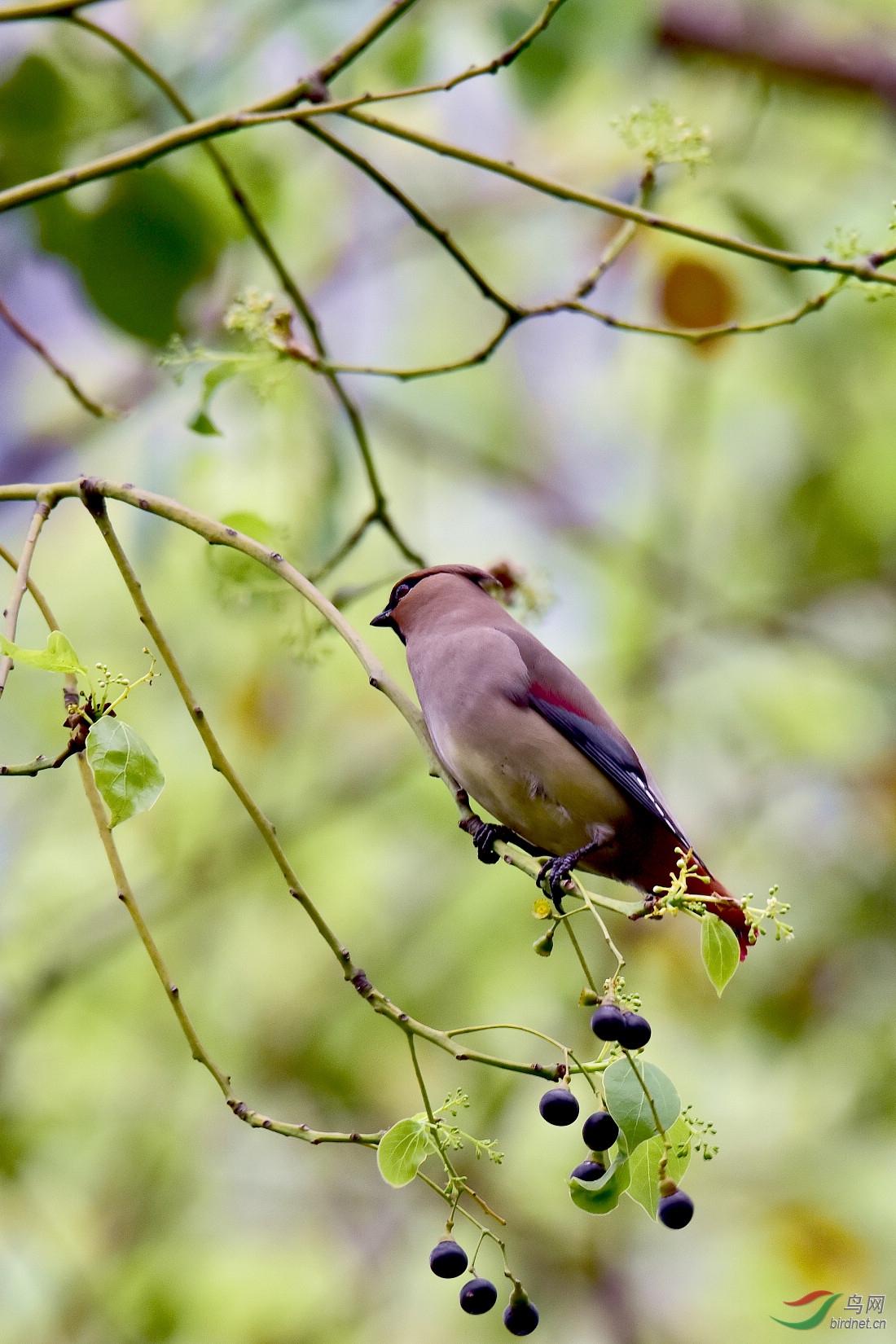DSC_1034.JPG