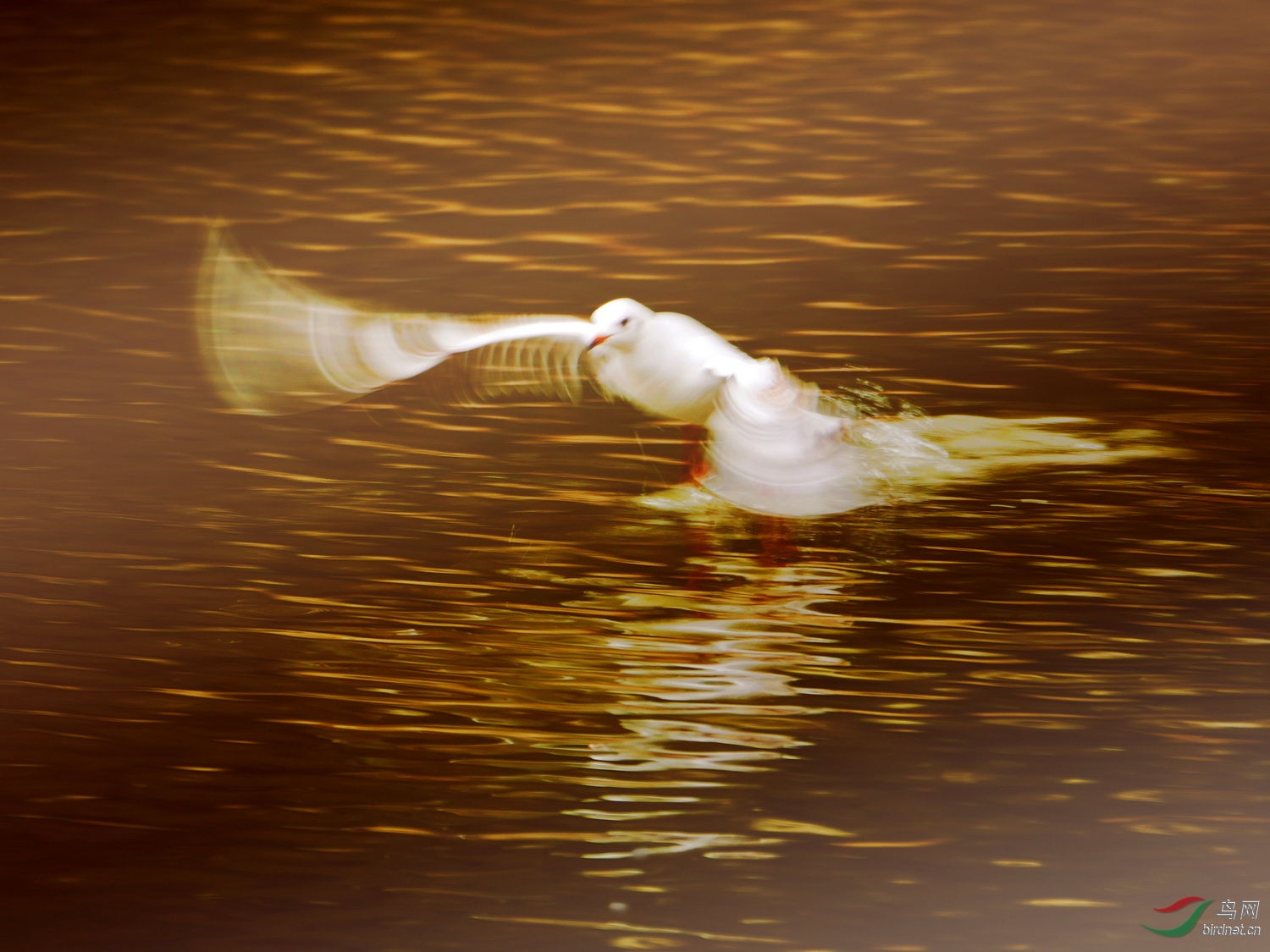 202062.һ˫����ͻ���������Ľ���