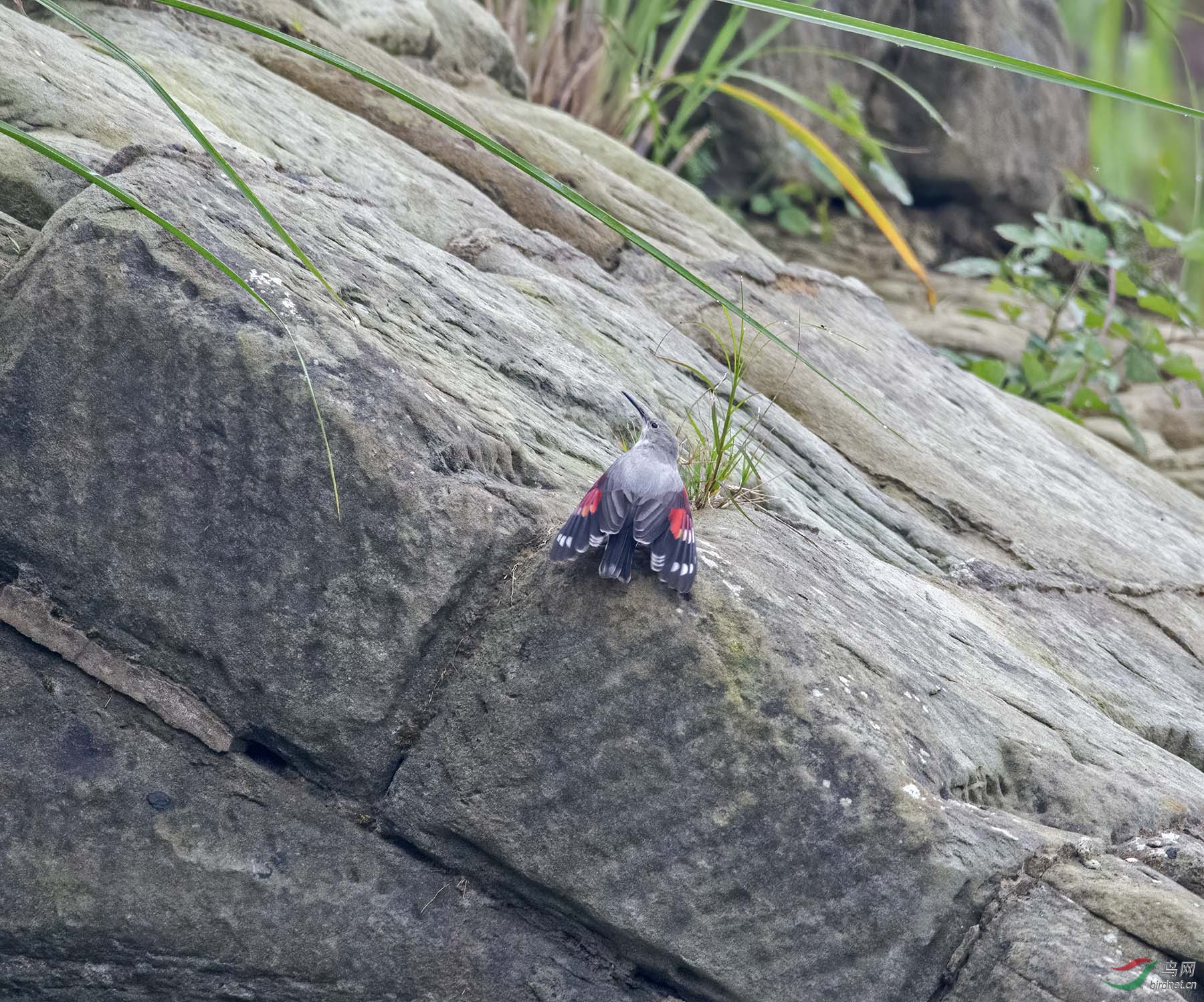DSC_3382.jpg