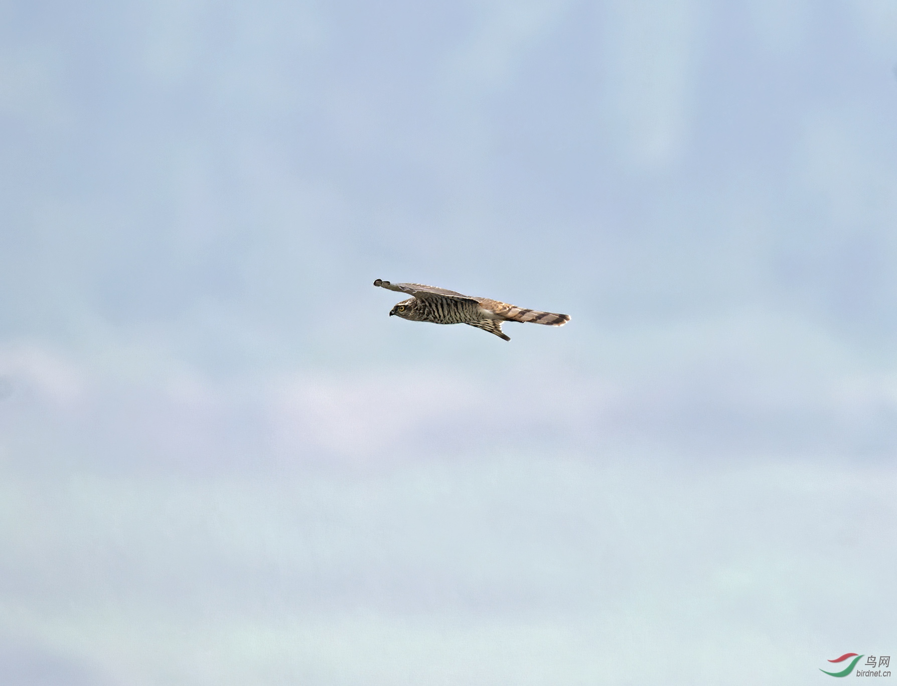 DSC_2912.jpg