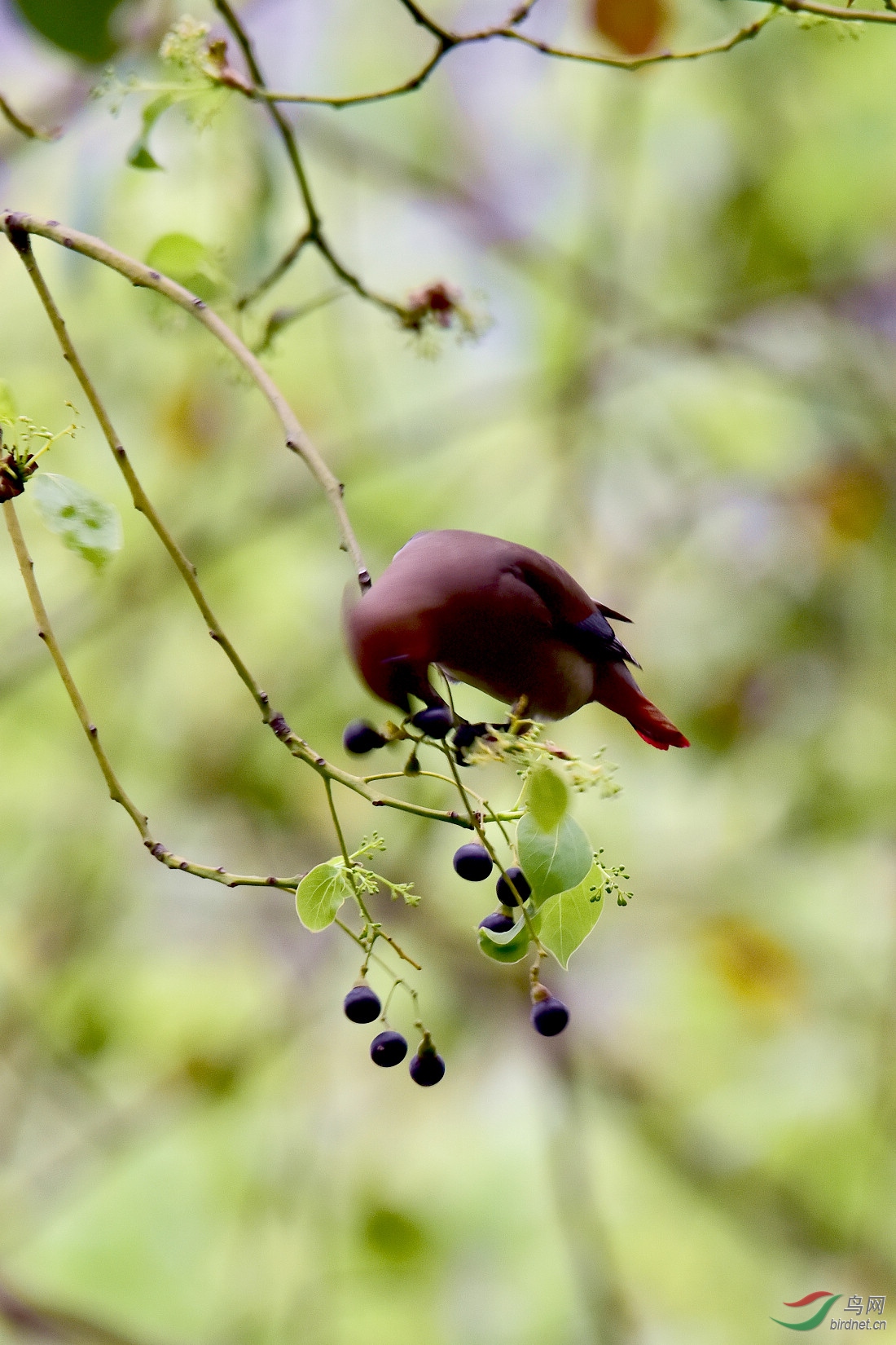 DSC_1040.JPG