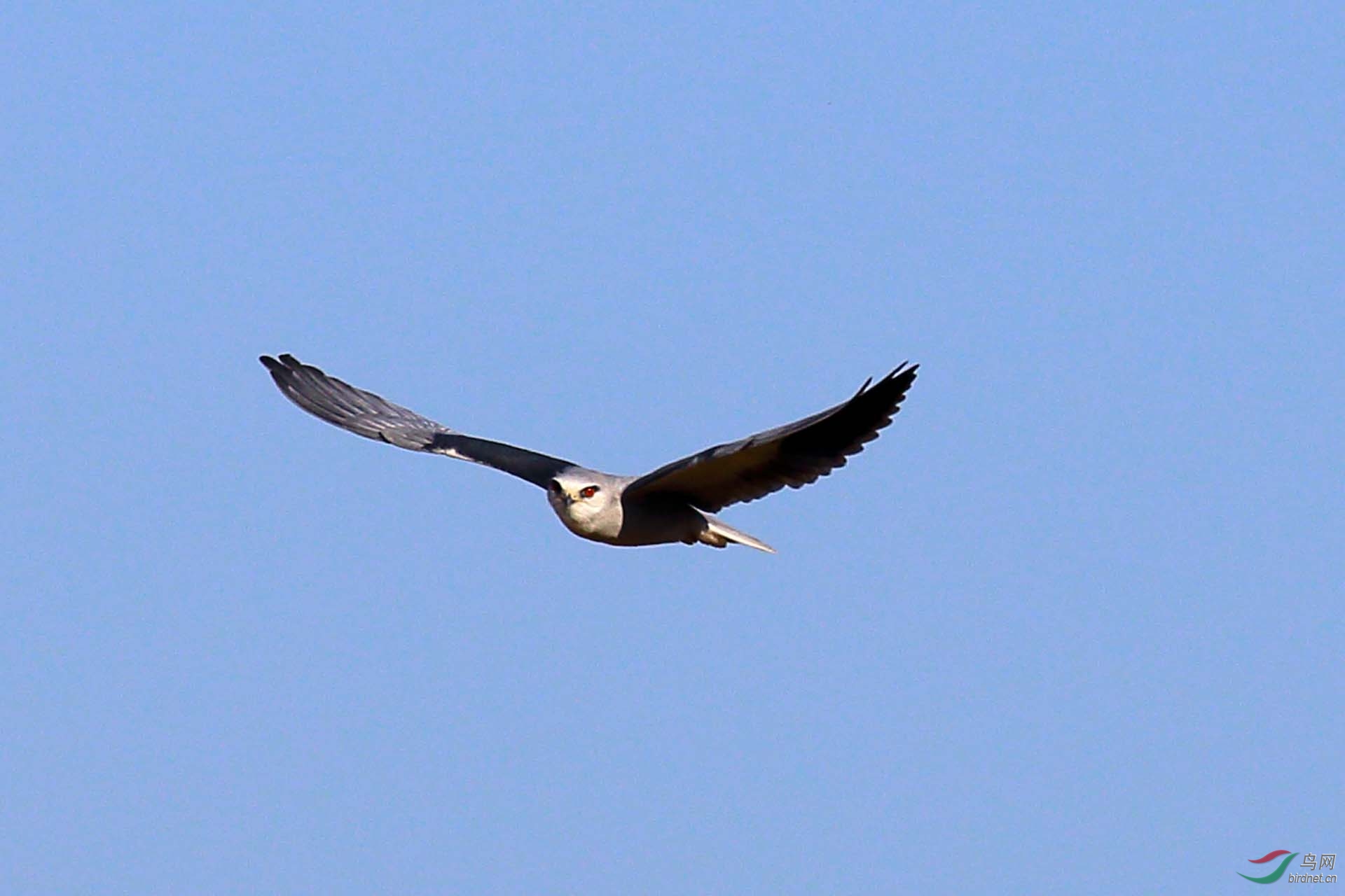 IMG_4581.JPG