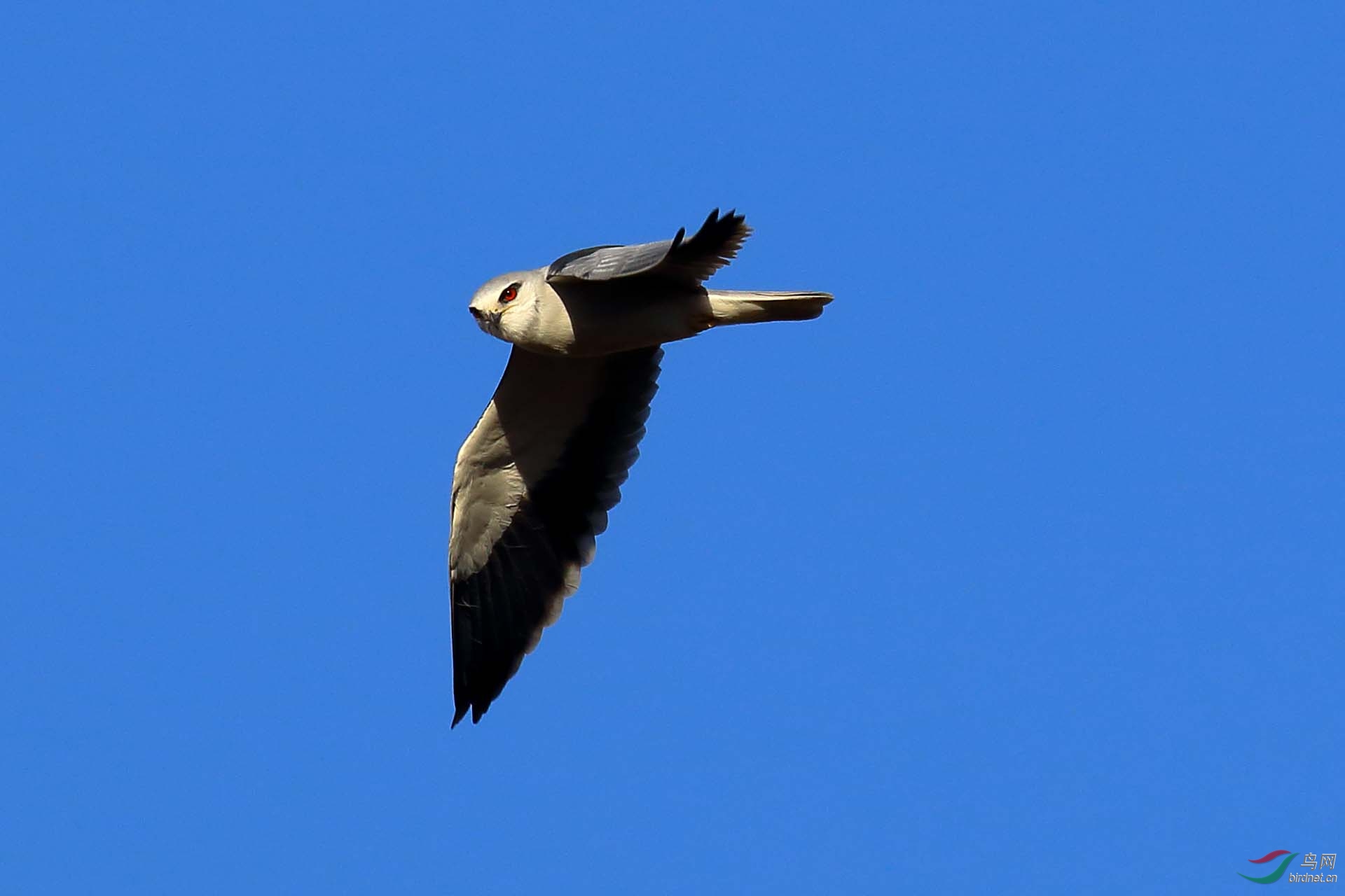 IMG_4680.JPG