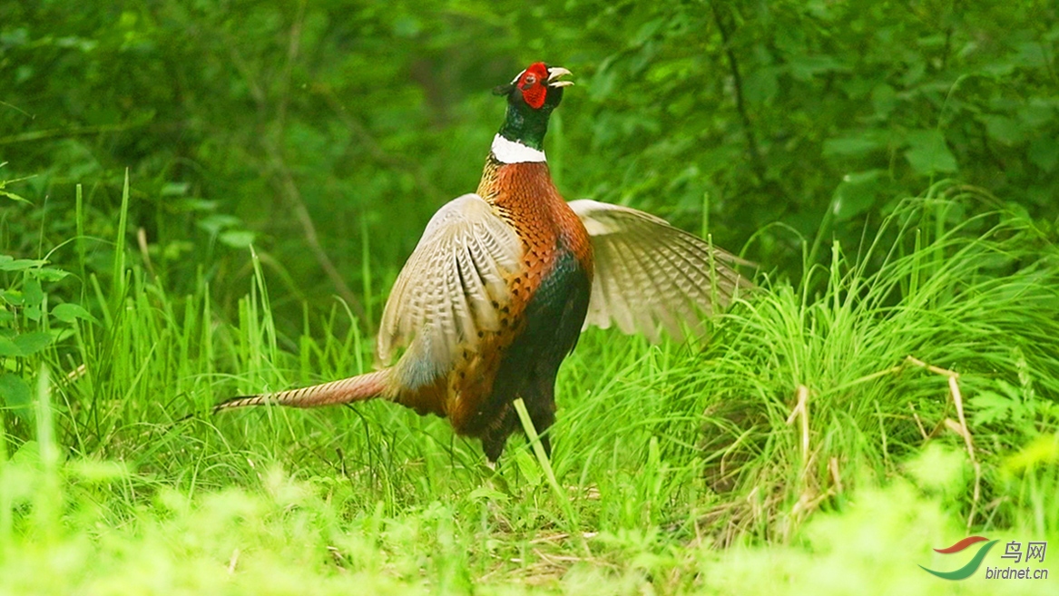 DSC_7567 00_02_02-00_02_16_Moment-02-p-1-01-2.jpg