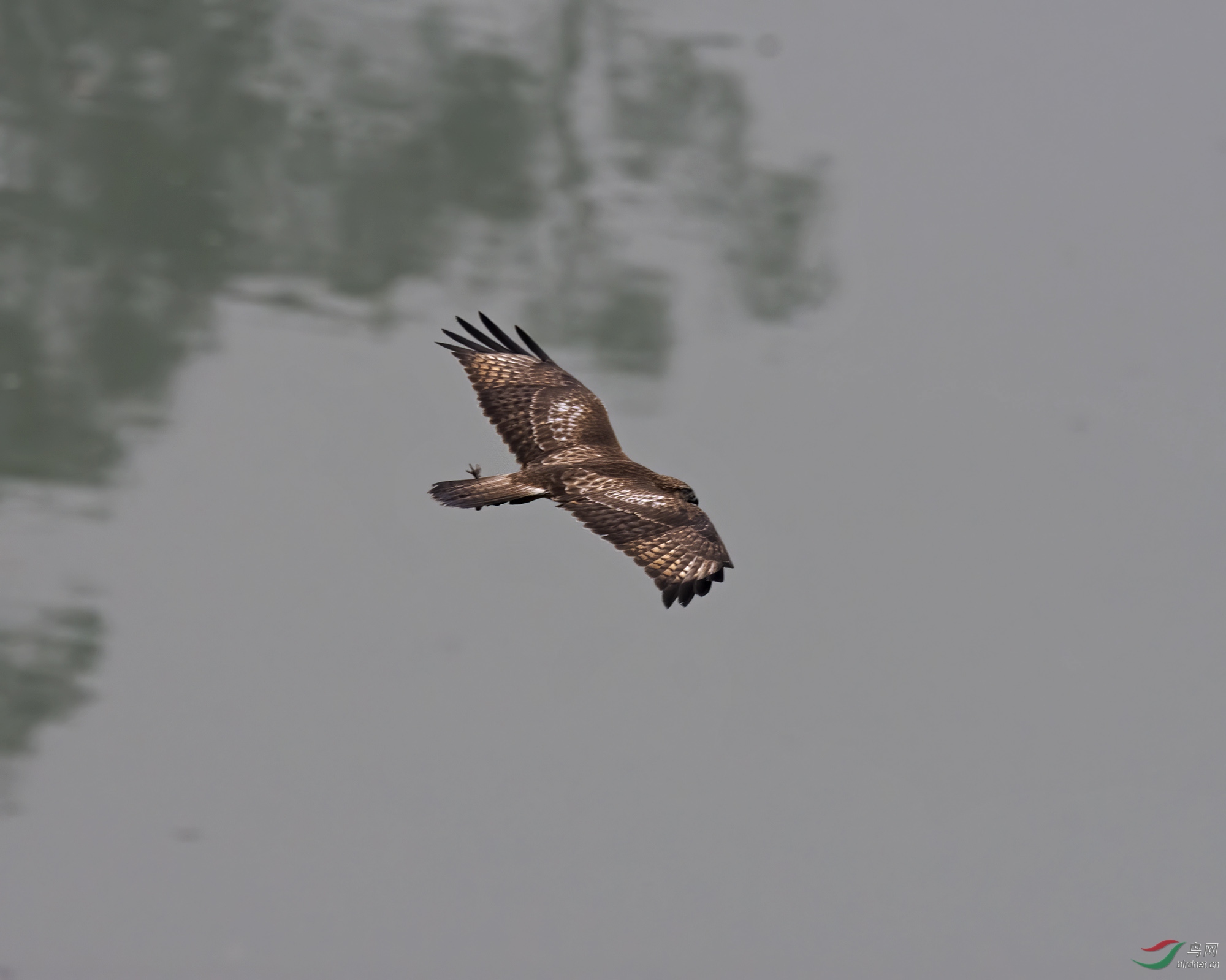 DSC_3329.jpg