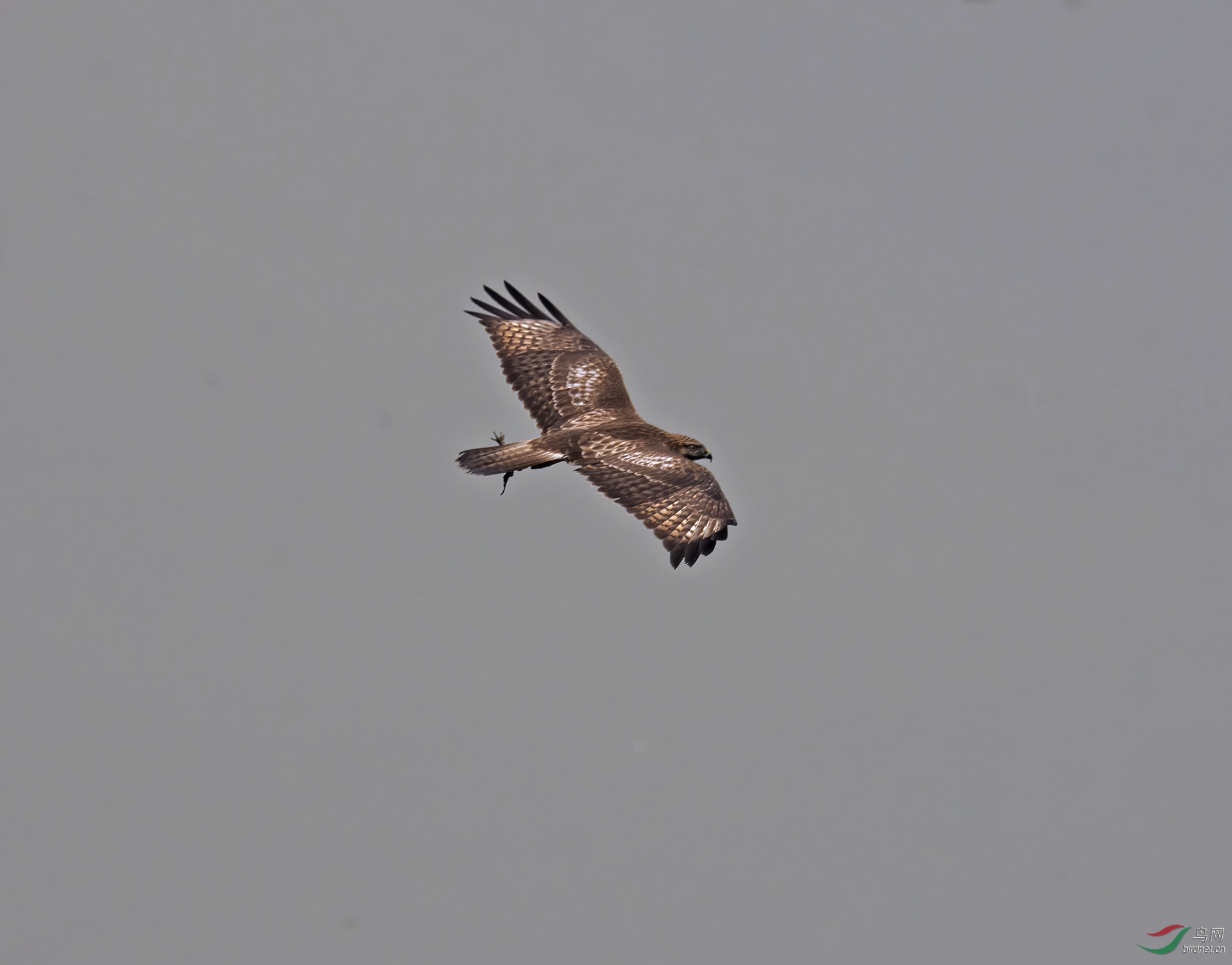 DSC_3330.jpg