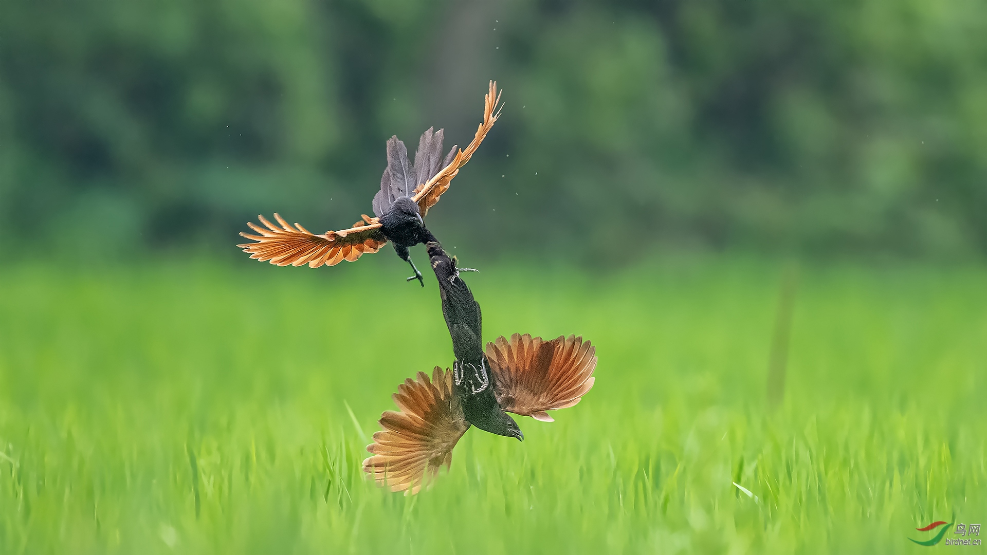 237.��ܵ����� (2).jpg