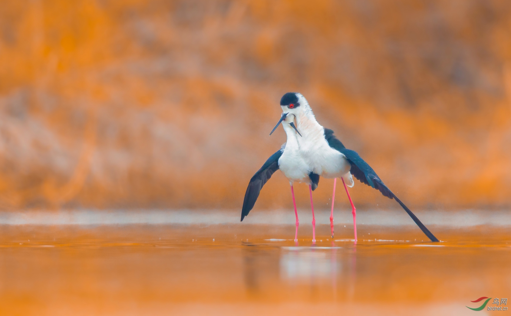 446.�� �� �� ��.jpg