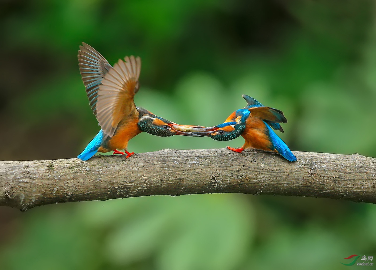 034.��ͨ���� (4).jpg