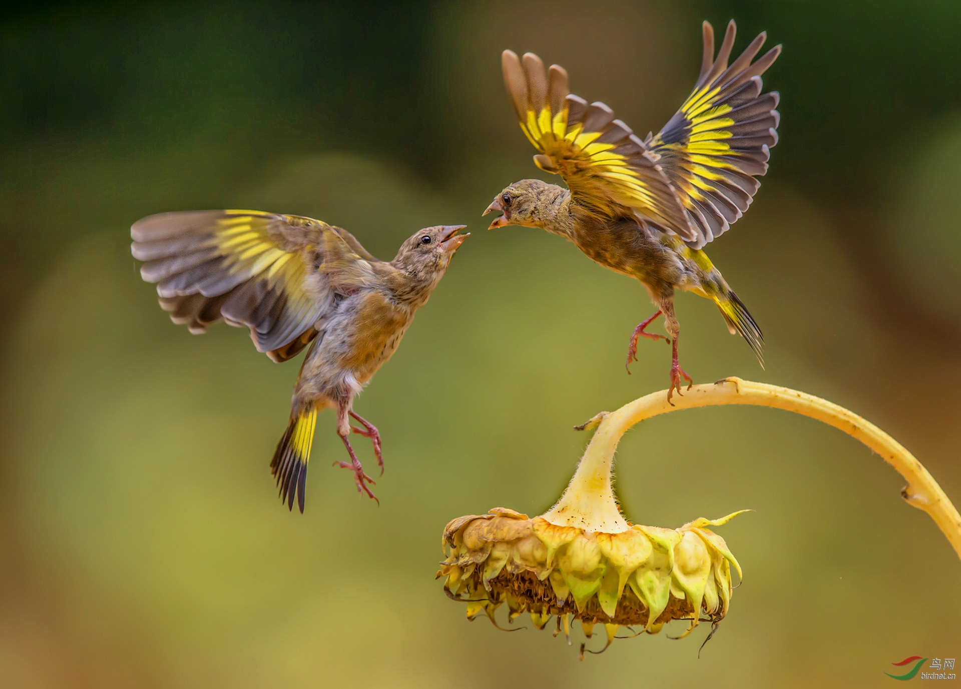 088.���д��� (���ȸ).jpg