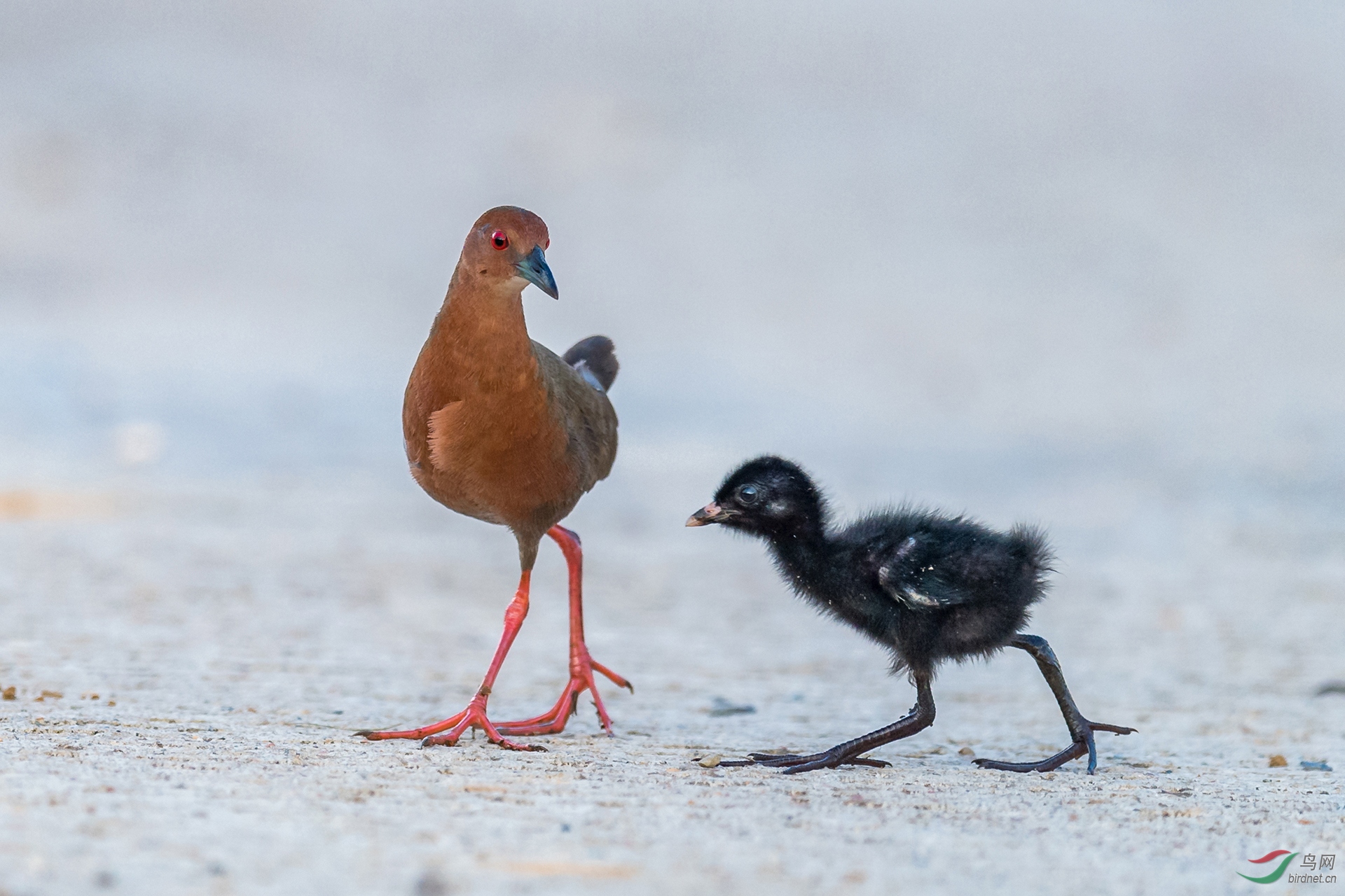 679.������ҹ���· .jpg