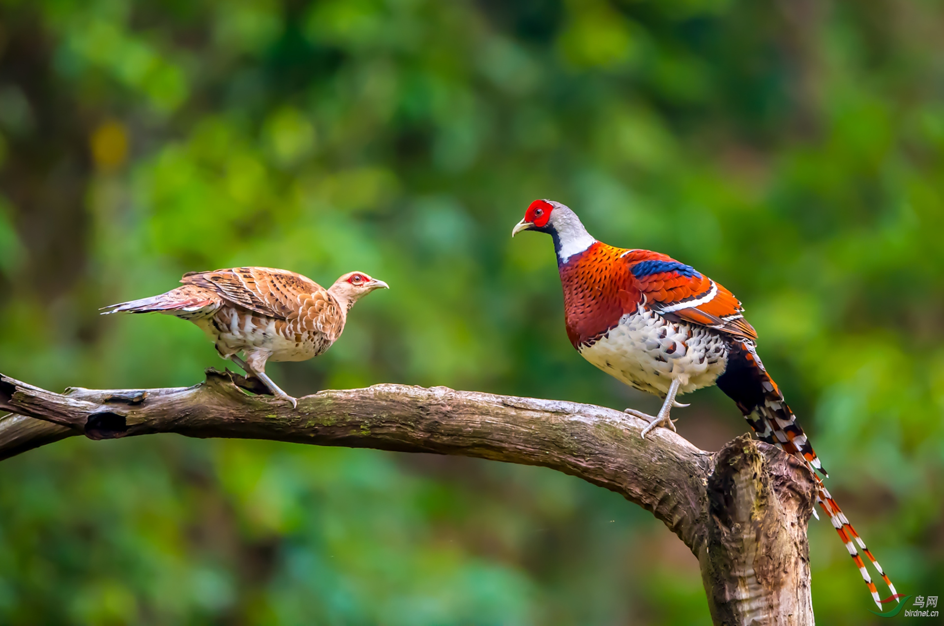 424.�Ի� (4).jpg