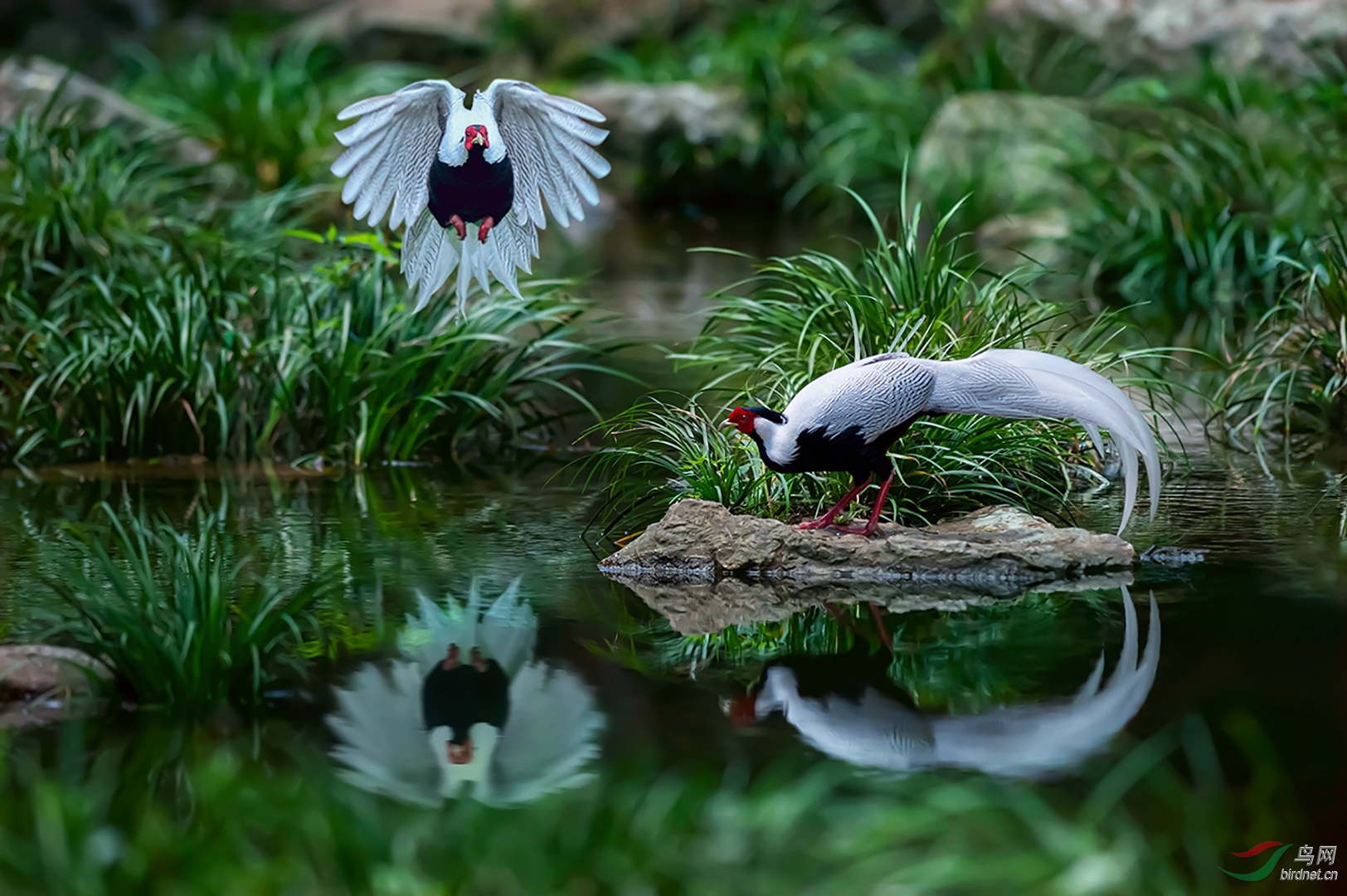 437.���� (2).jpg