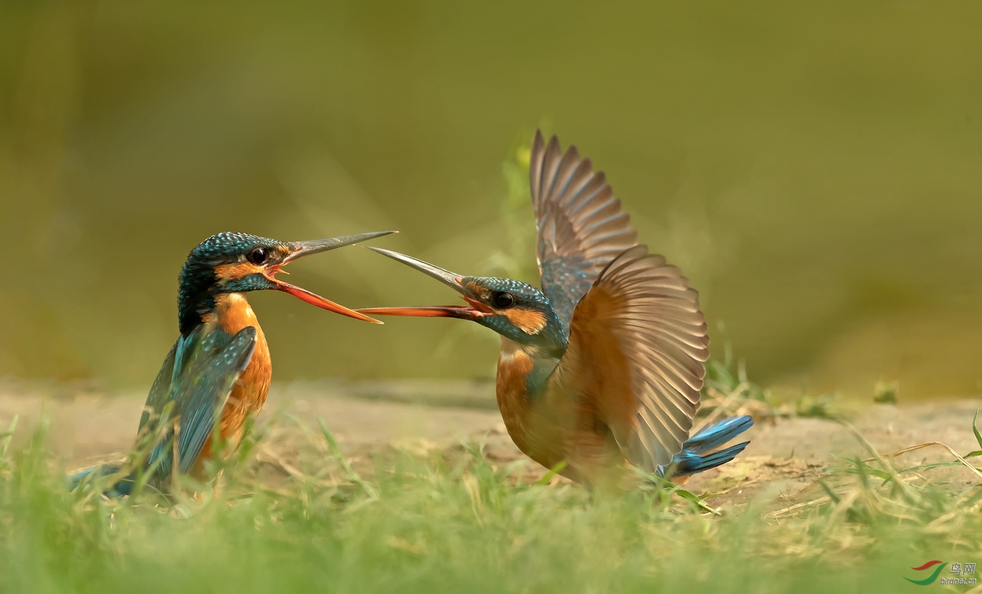 516.��ͨ���� (2).jpg