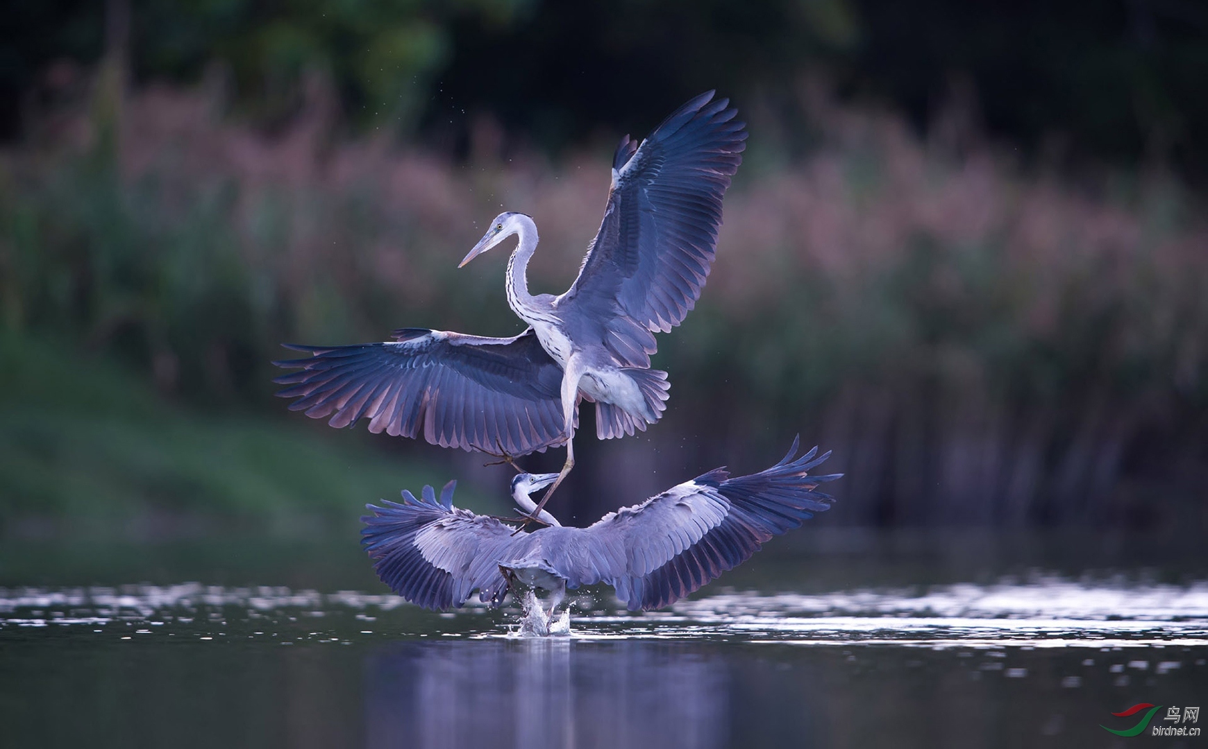 107.���� (8).jpg