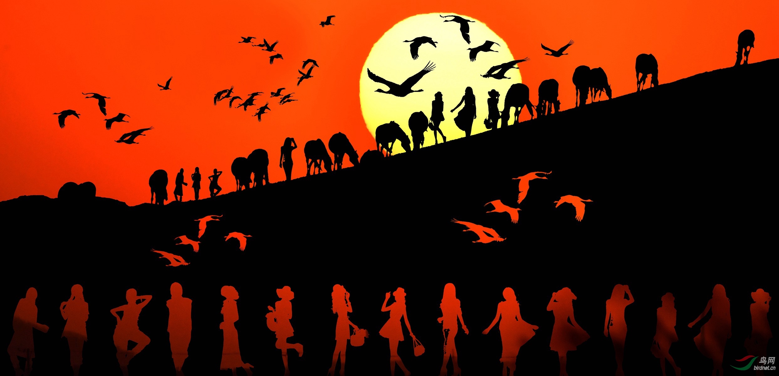 IYK_21127 ����_����.jpg