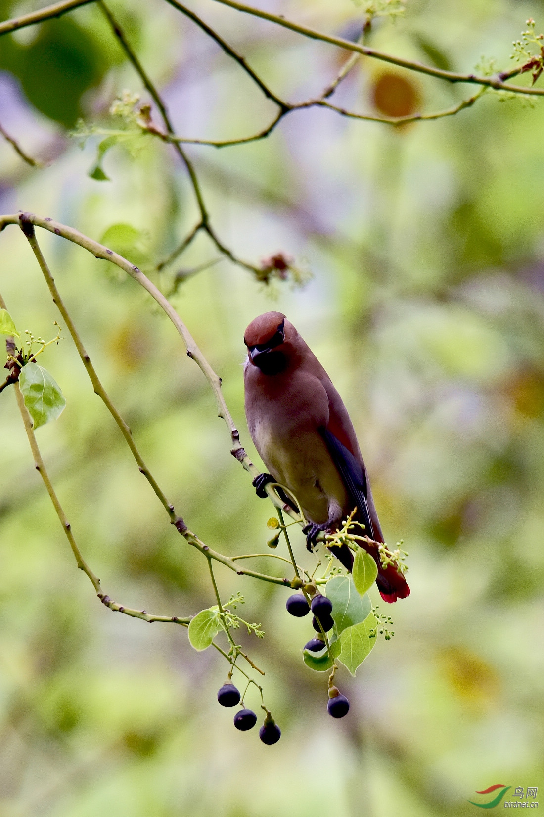DSC_1059.JPG
