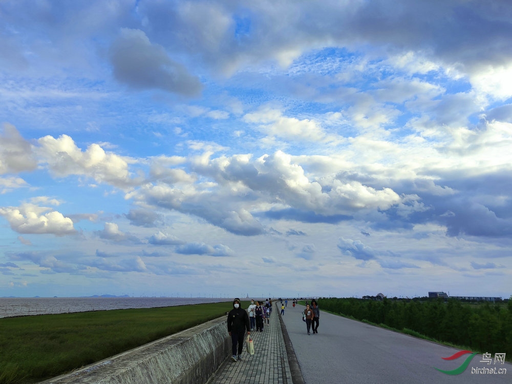 IMG_20201006_161347.jpg