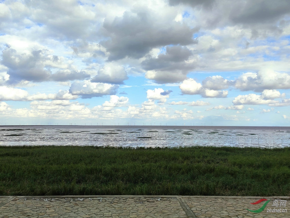 IMG_20201006_155038.jpg