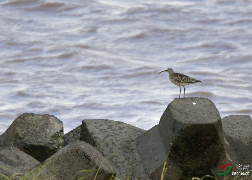 DSC_6387.JPG