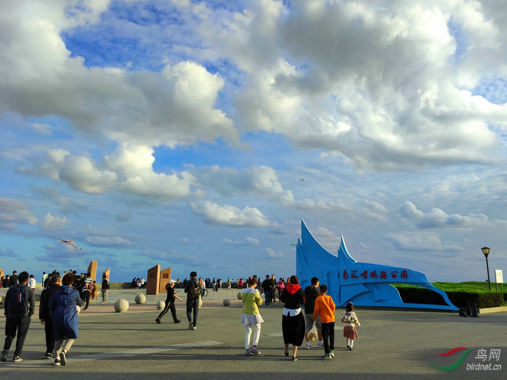 IMG_20201006_162717.jpg