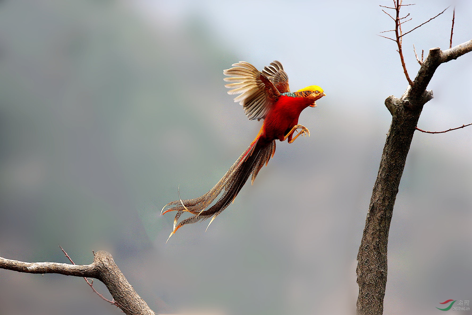 H46R7102_����_���� (2).jpg